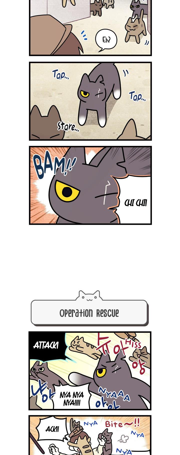 Cats Own The World Vol.1 Chapter 50: Chp. 50 - Picture 3