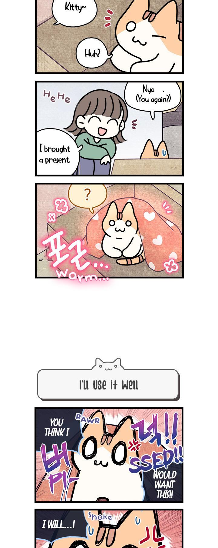 Cats Own The World Vol.1 Chapter 51: Chapter 51. - Picture 3