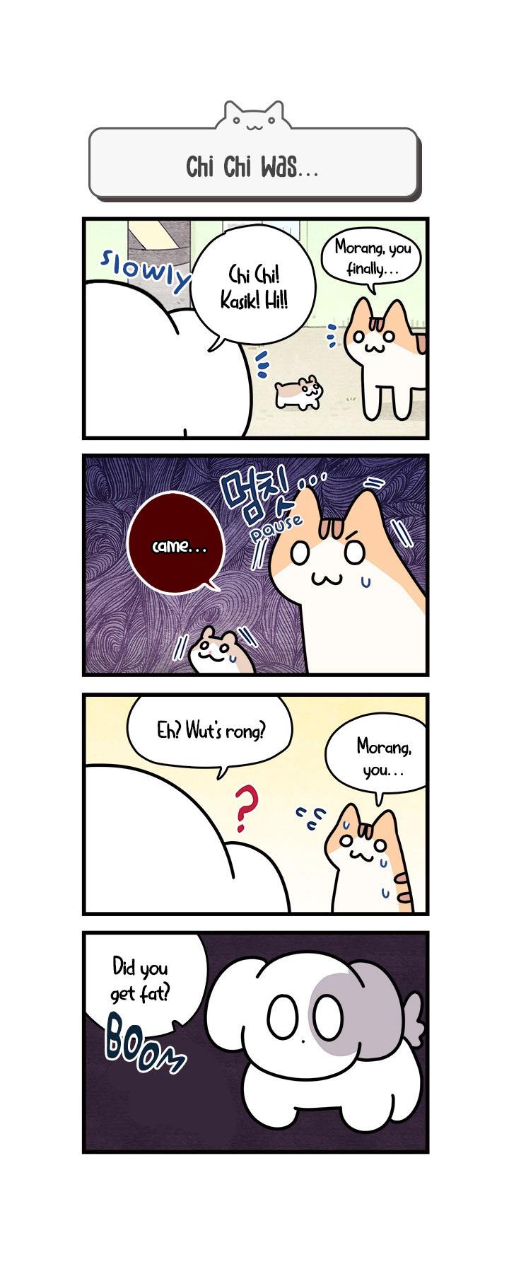Cats Own The World Vol.1 Chapter 52: Chp.52 - Picture 1