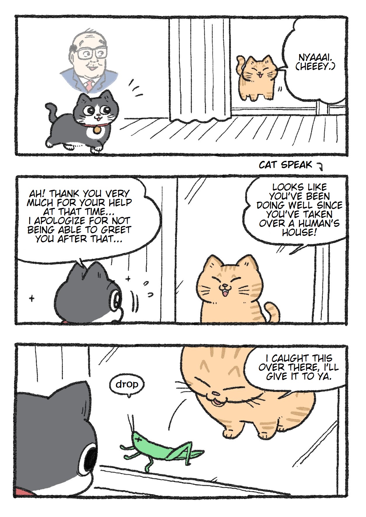 The Old Man Who Was Reincarnated As A Cat Chapter 145 - Picture 1