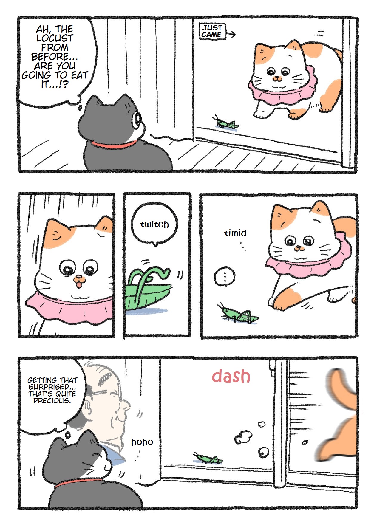 The Old Man Who Was Reincarnated As A Cat Chapter 146 - Picture 1