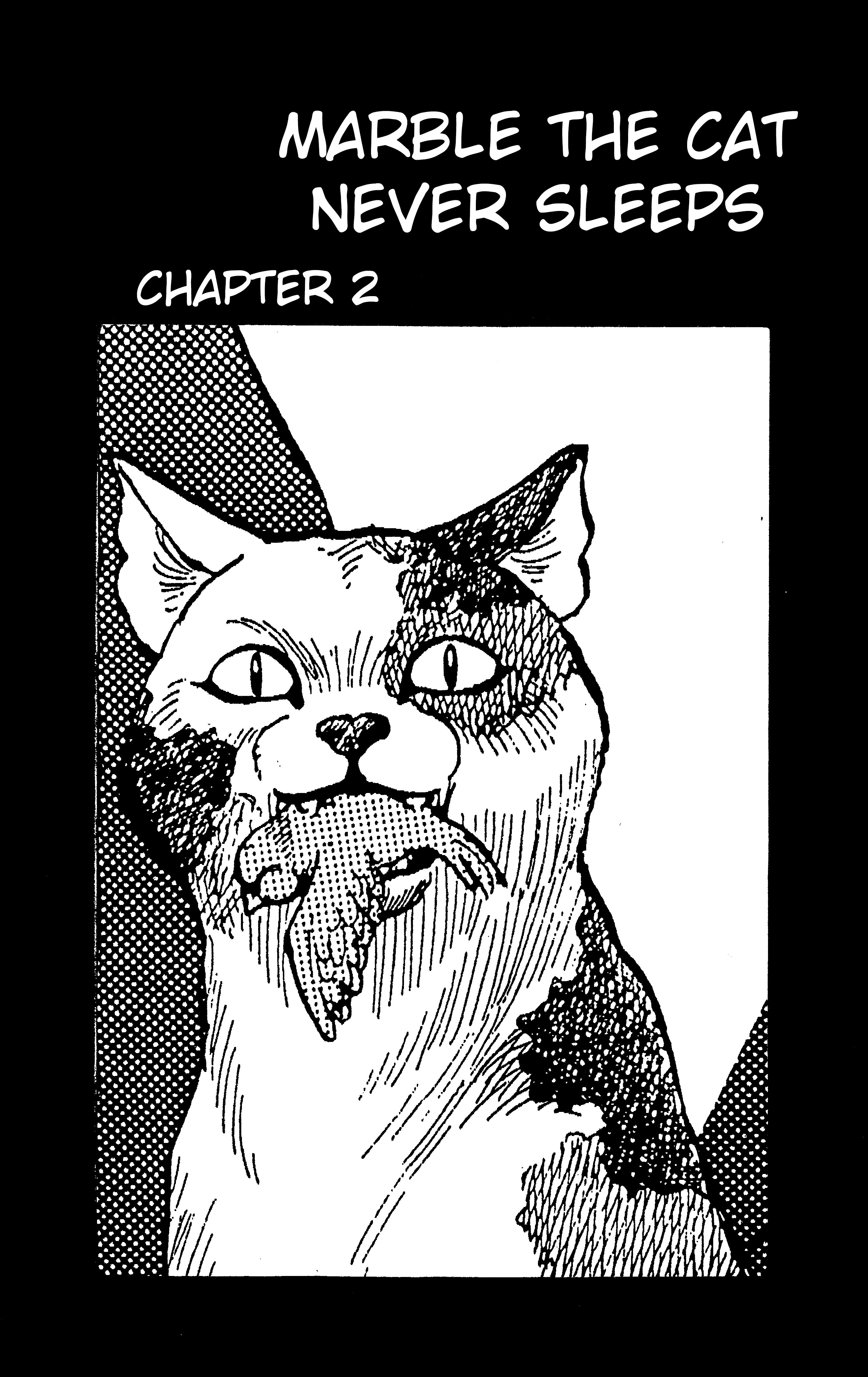 Dark Cat Vol.1 Chapter 2: Marble The Cat Never Sleeps - Picture 1
