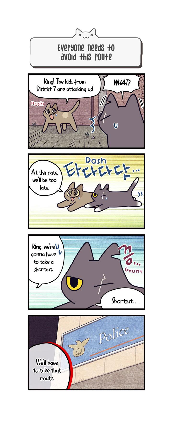 Cats Own The World Vol.1 Chapter 55 - Picture 1