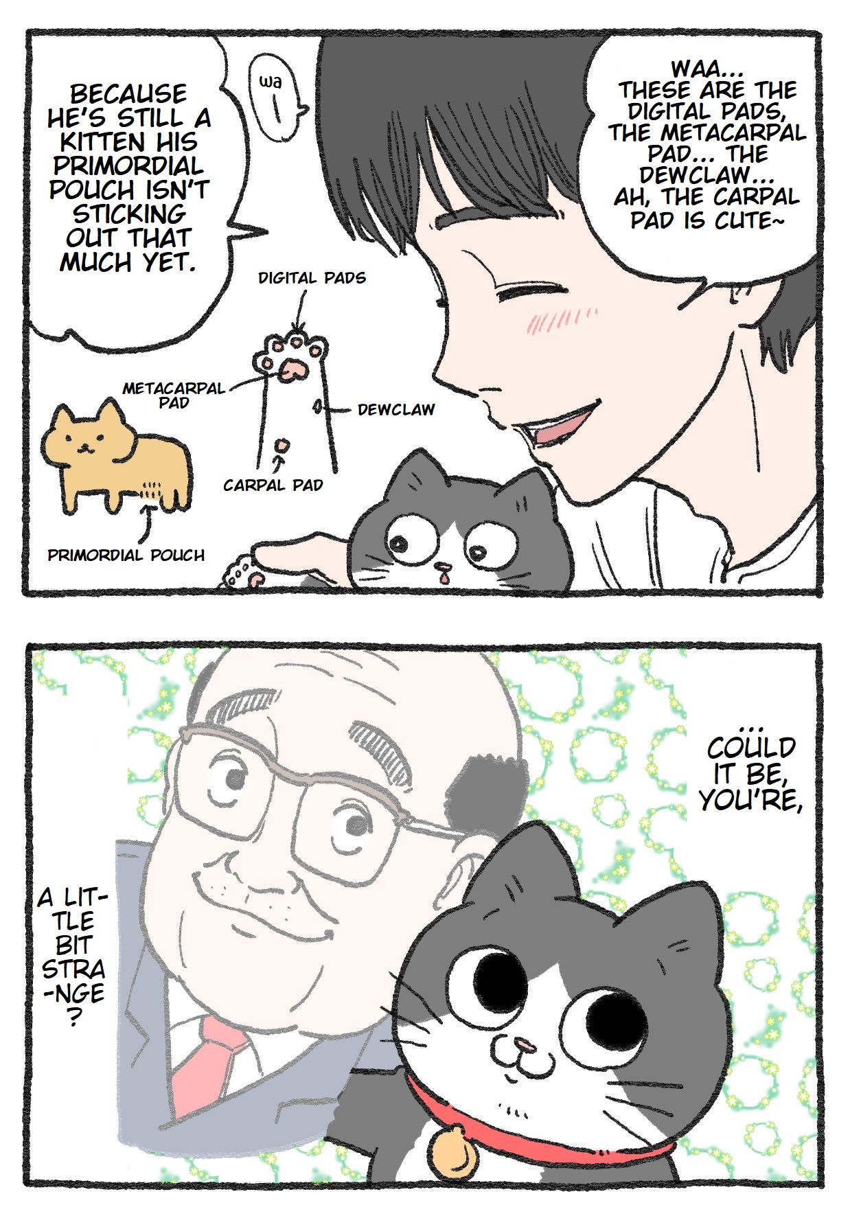 The Old Man Who Was Reincarnated As A Cat Chapter 152 - Picture 2