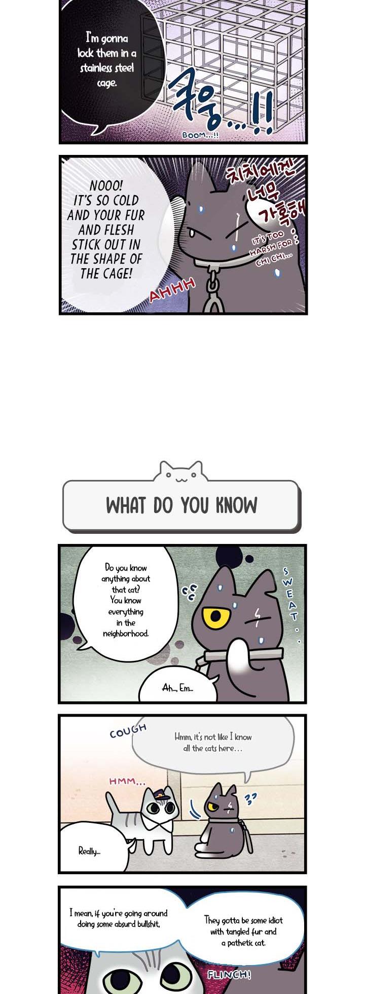 Cats Own The World Vol.1 Chapter 56 - Picture 3