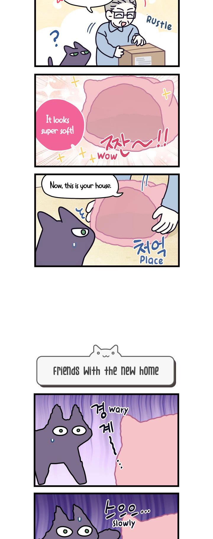 Cats Own The World Vol.1 Chapter 57 - Picture 3