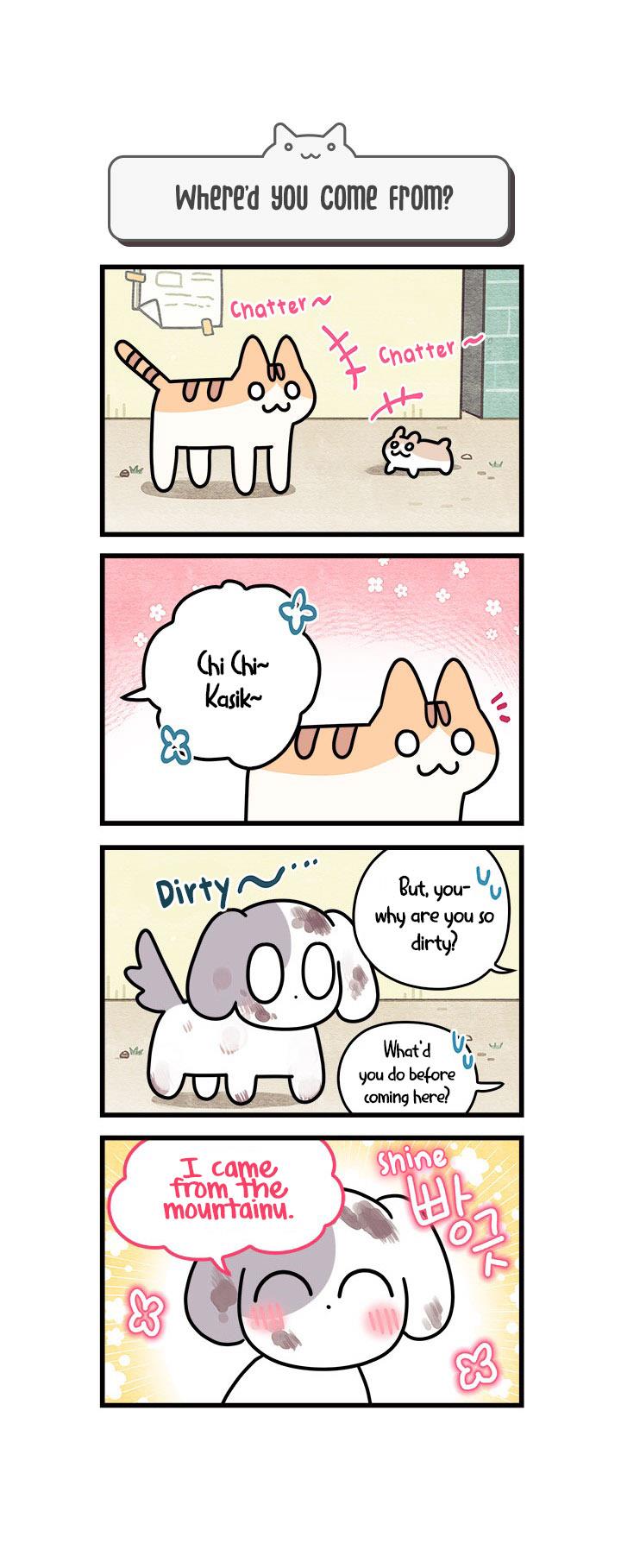Cats Own The World Vol.1 Chapter 58 - Picture 1