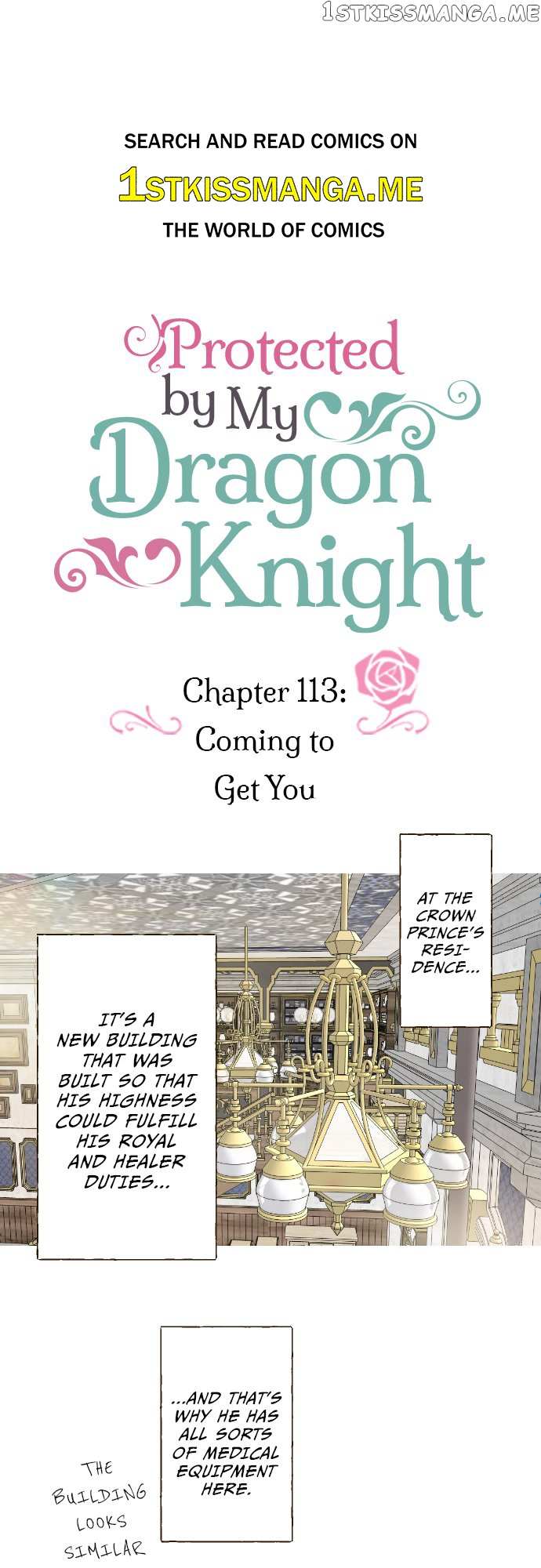 Protected By My Dragon Knight Chapter 113 - Picture 1