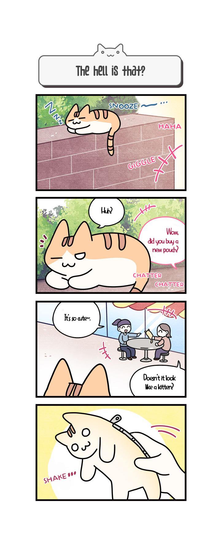 Cats Own The World Vol.1 Chapter 64 - Picture 1