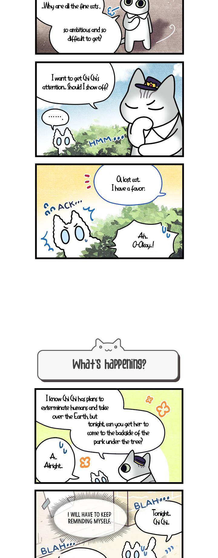 Cats Own The World Vol.1 Chapter 66 - Picture 3