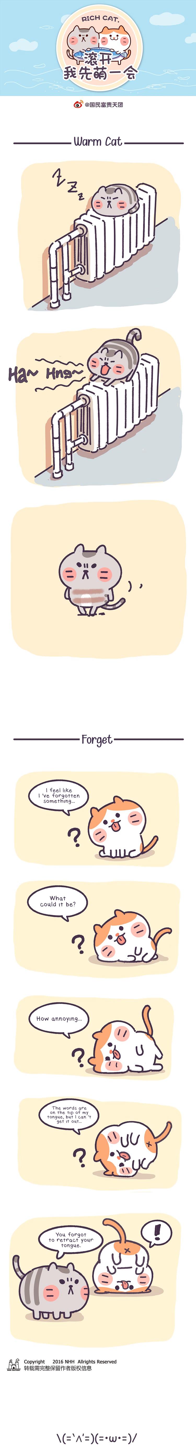 Go Away, Let Me Be Cute First! - Page 1