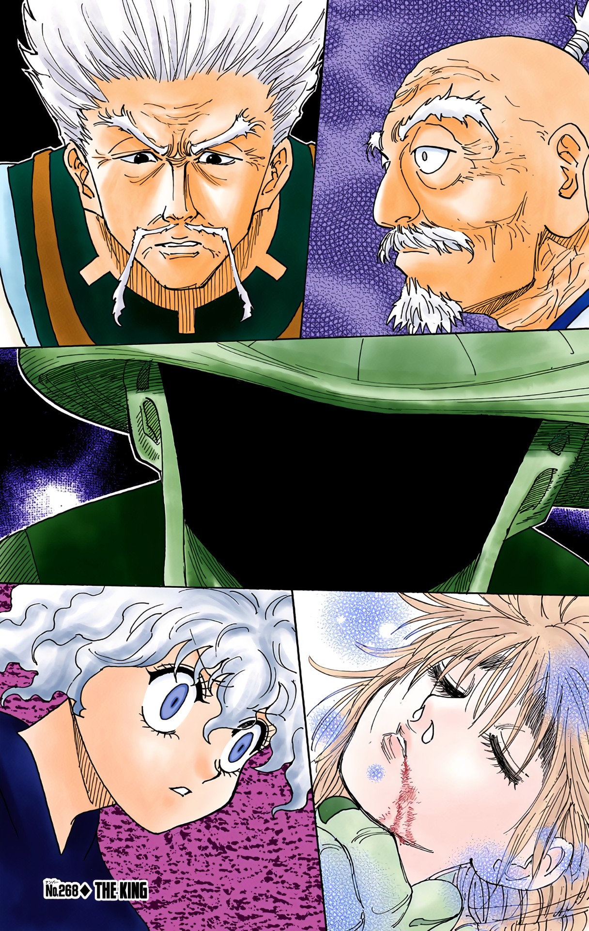 Hunter X Hunter Full Color Vol.25 Chapter 268: The King - Picture 1