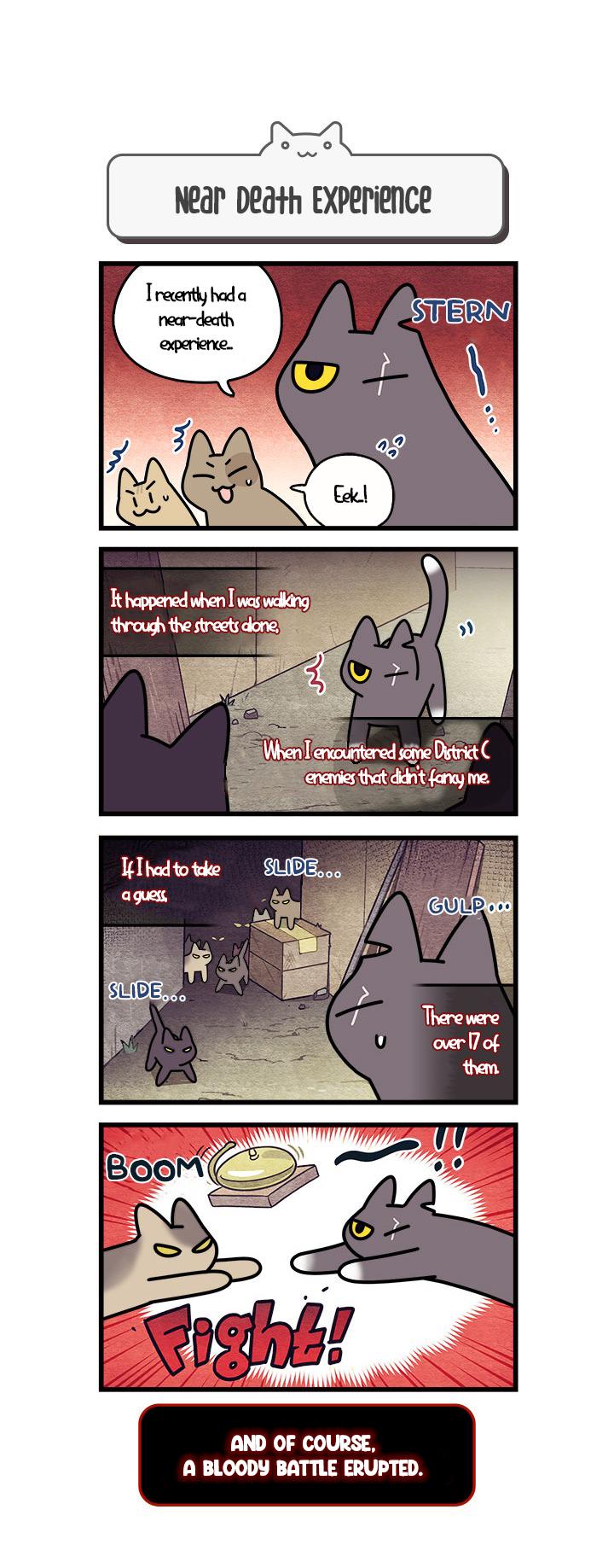 Cats Own The World Vol.1 Chapter 68 - Picture 1