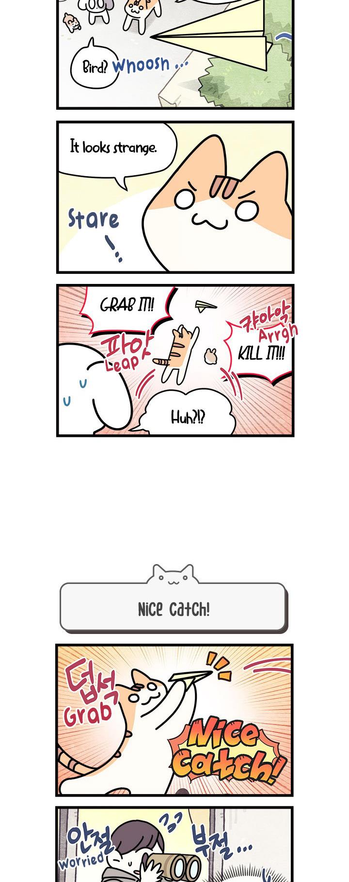 Cats Own The World Vol.1 Chapter 70 - Picture 3
