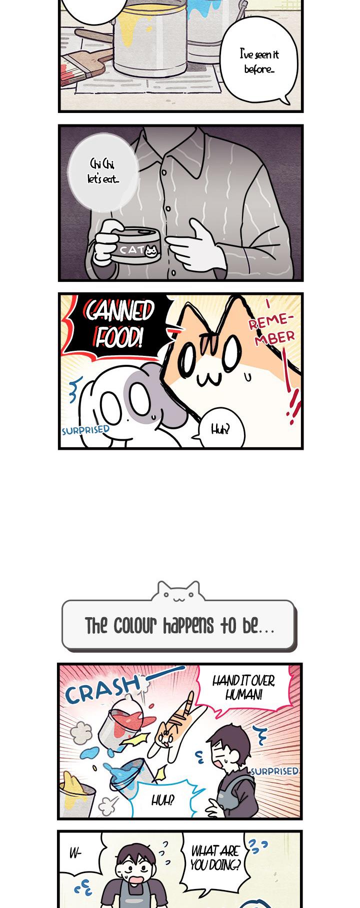 Cats Own The World Vol.1 Chapter 71 - Picture 3