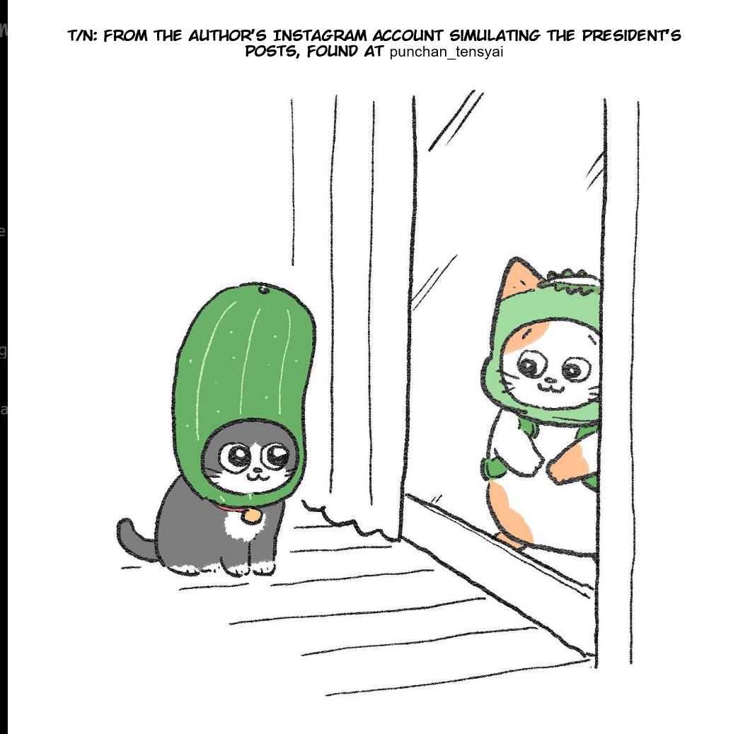 The Old Man Who Was Reincarnated As A Cat Chapter 210 - Picture 3