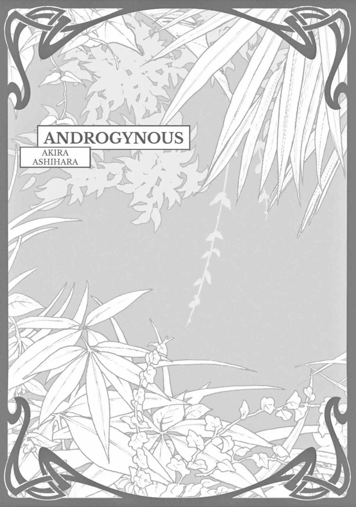 Androgynous - Page 2