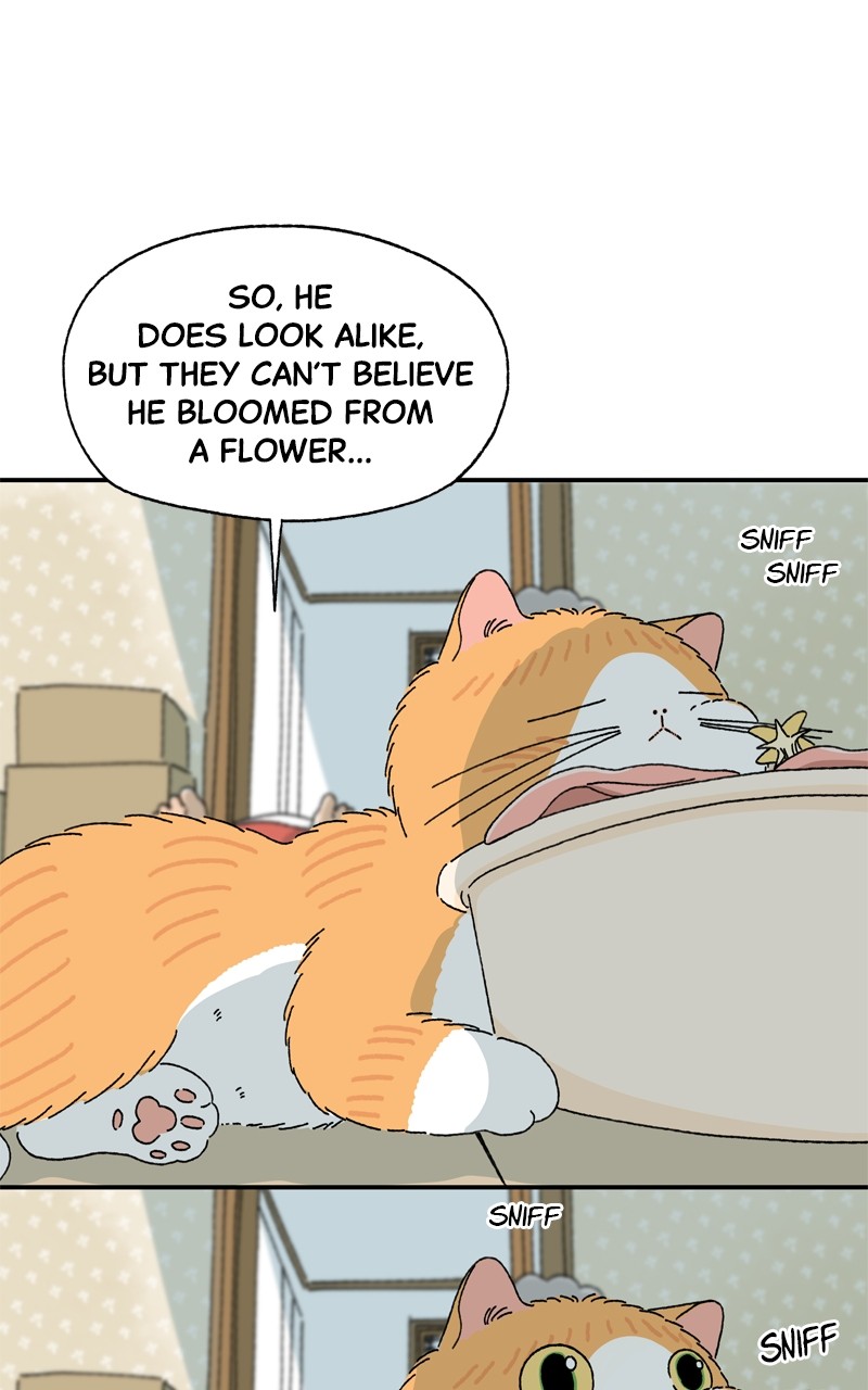 Tata The Cat Chapter 5 - Picture 3