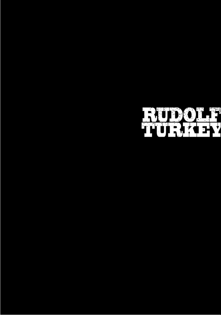 Rudolf Turkey - Page 3