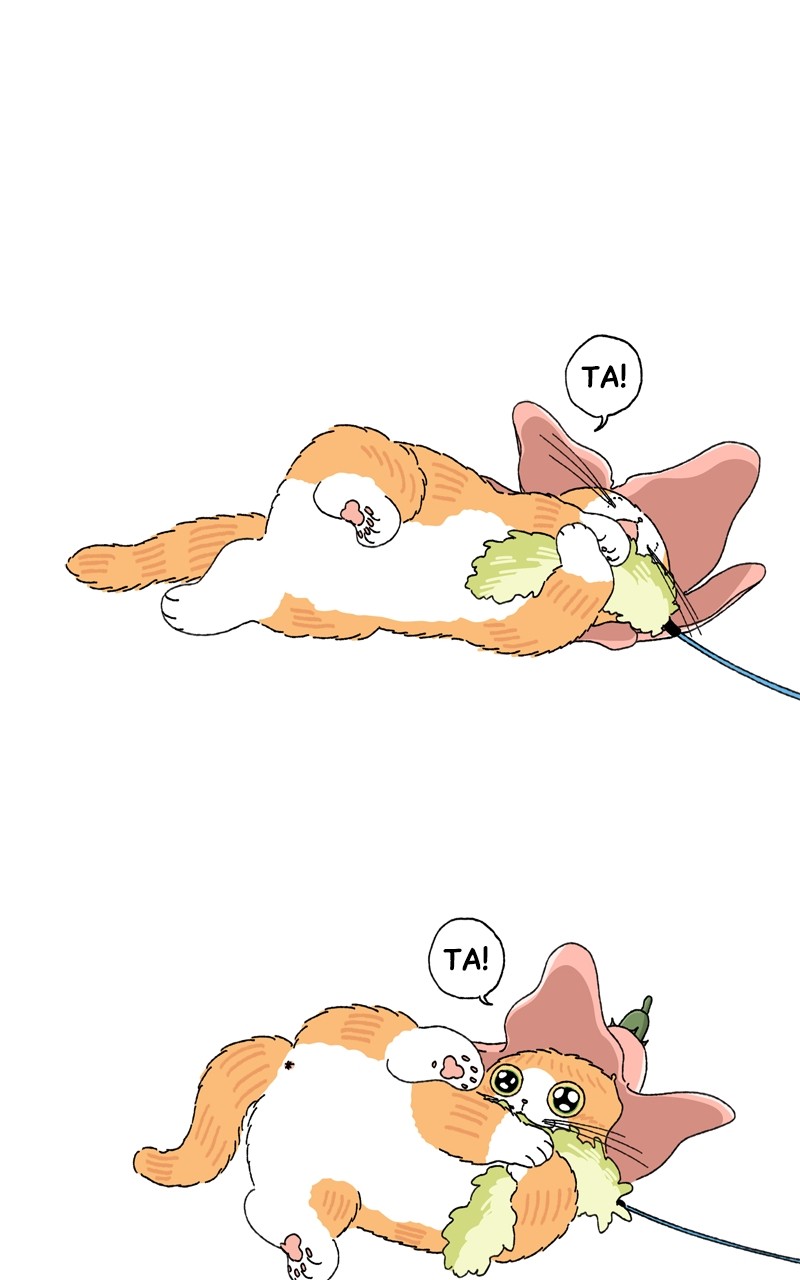 Tata The Cat Chapter 14 - Picture 3
