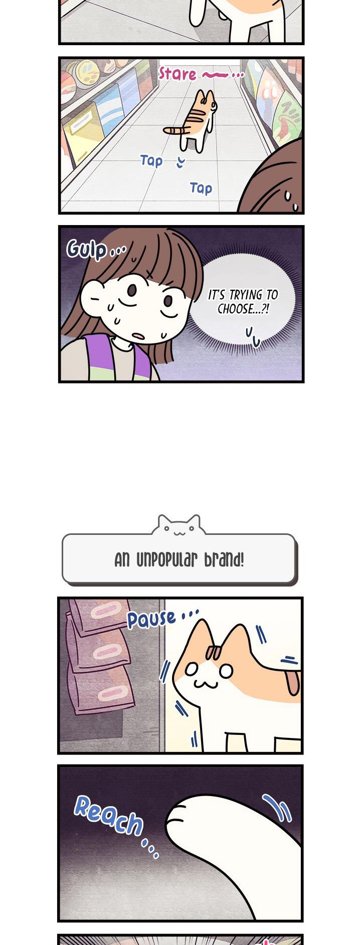 Cats Own The World Vol.1 Chapter 63 - Picture 3