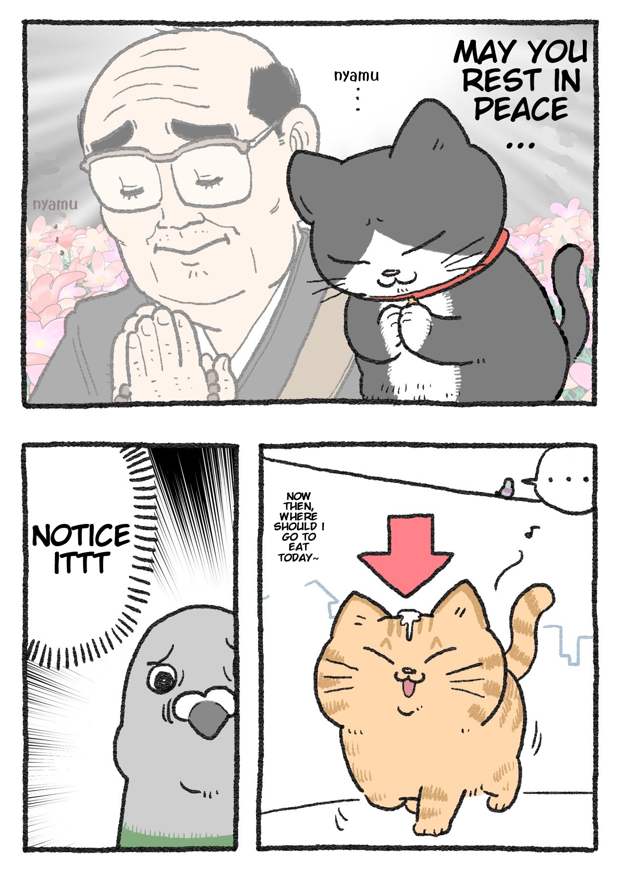 The Old Man Who Was Reincarnated As A Cat Chapter 254 - Picture 2