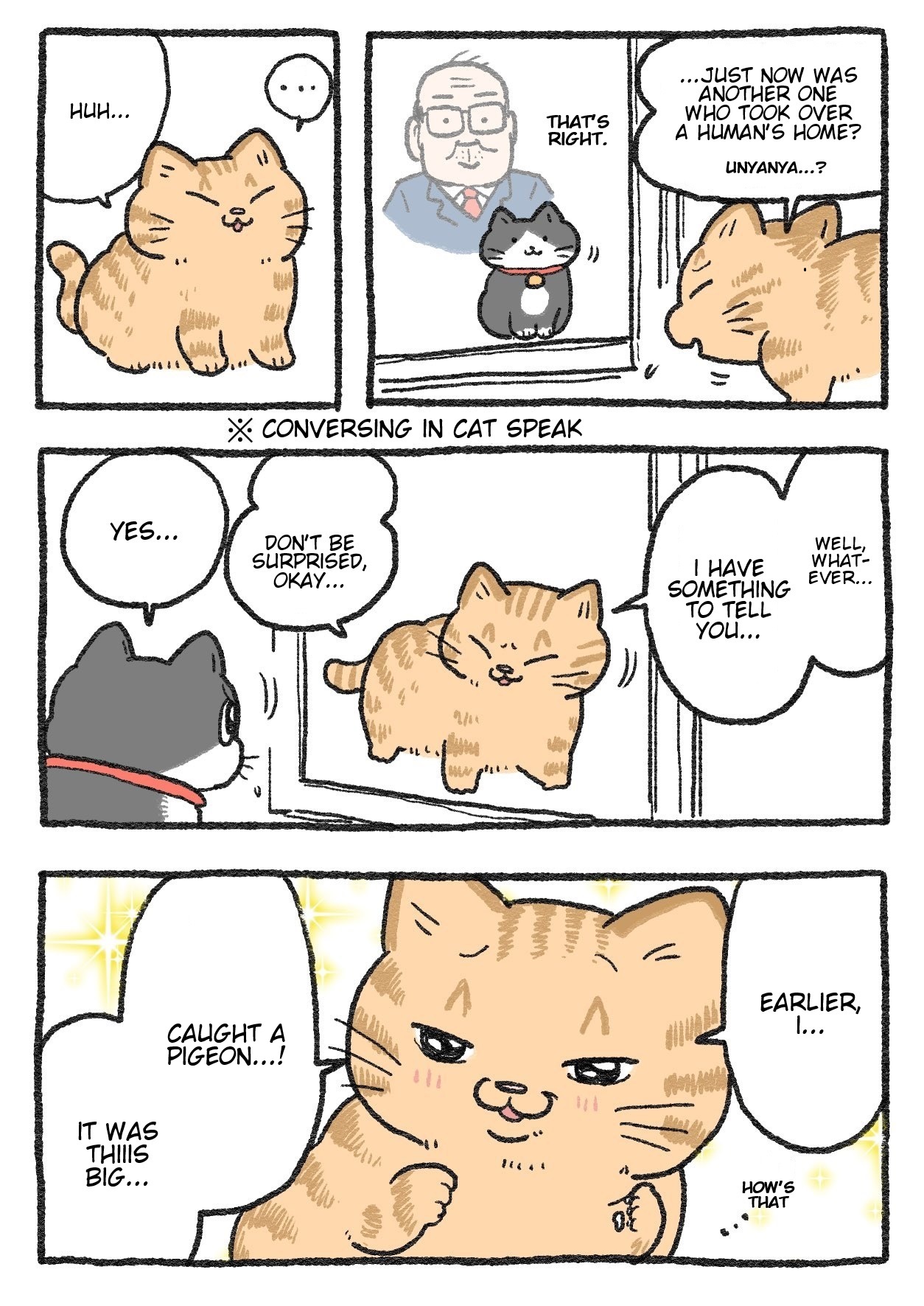The Old Man Who Was Reincarnated As A Cat Chapter 252 - Picture 1