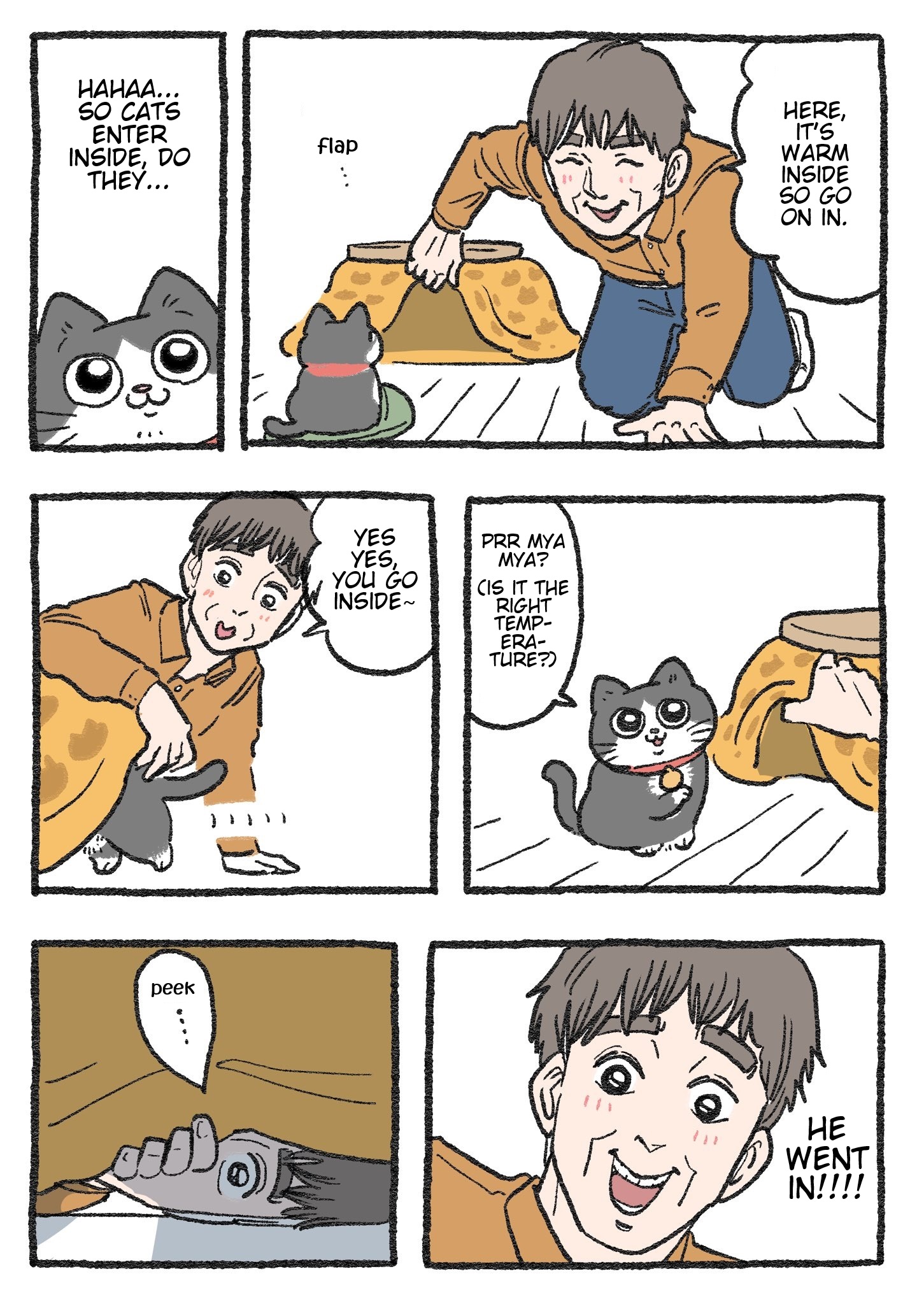 The Old Man Who Was Reincarnated As A Cat Chapter 263 - Picture 1