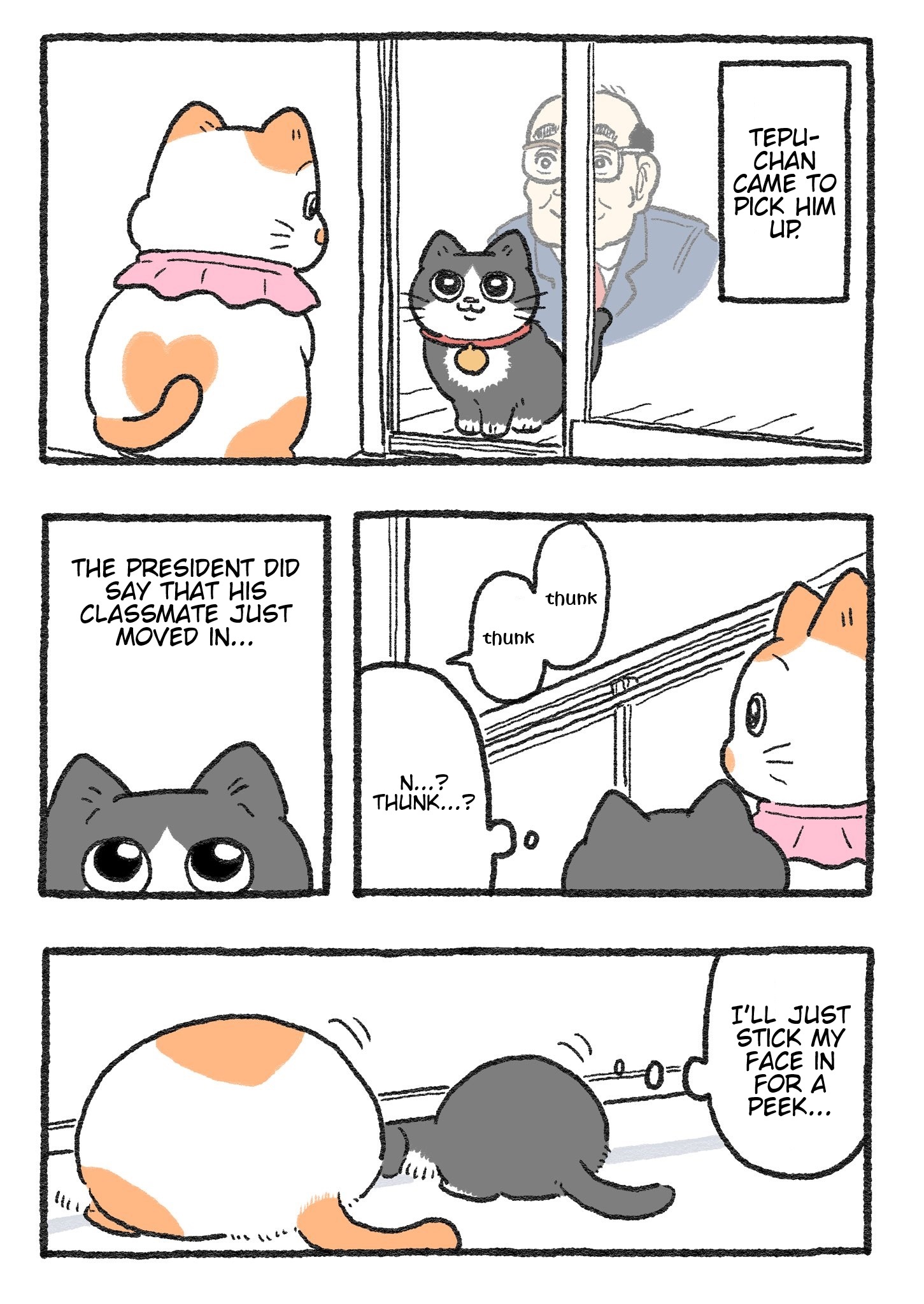 The Old Man Who Was Reincarnated As A Cat Chapter 257 - Picture 1