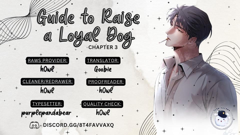 Guide To Raise A Loyal Dog - Page 1