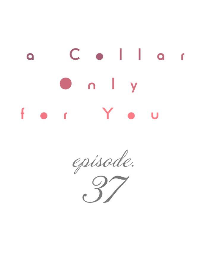 A Collar Only For You Chapter 37 - Picture 1