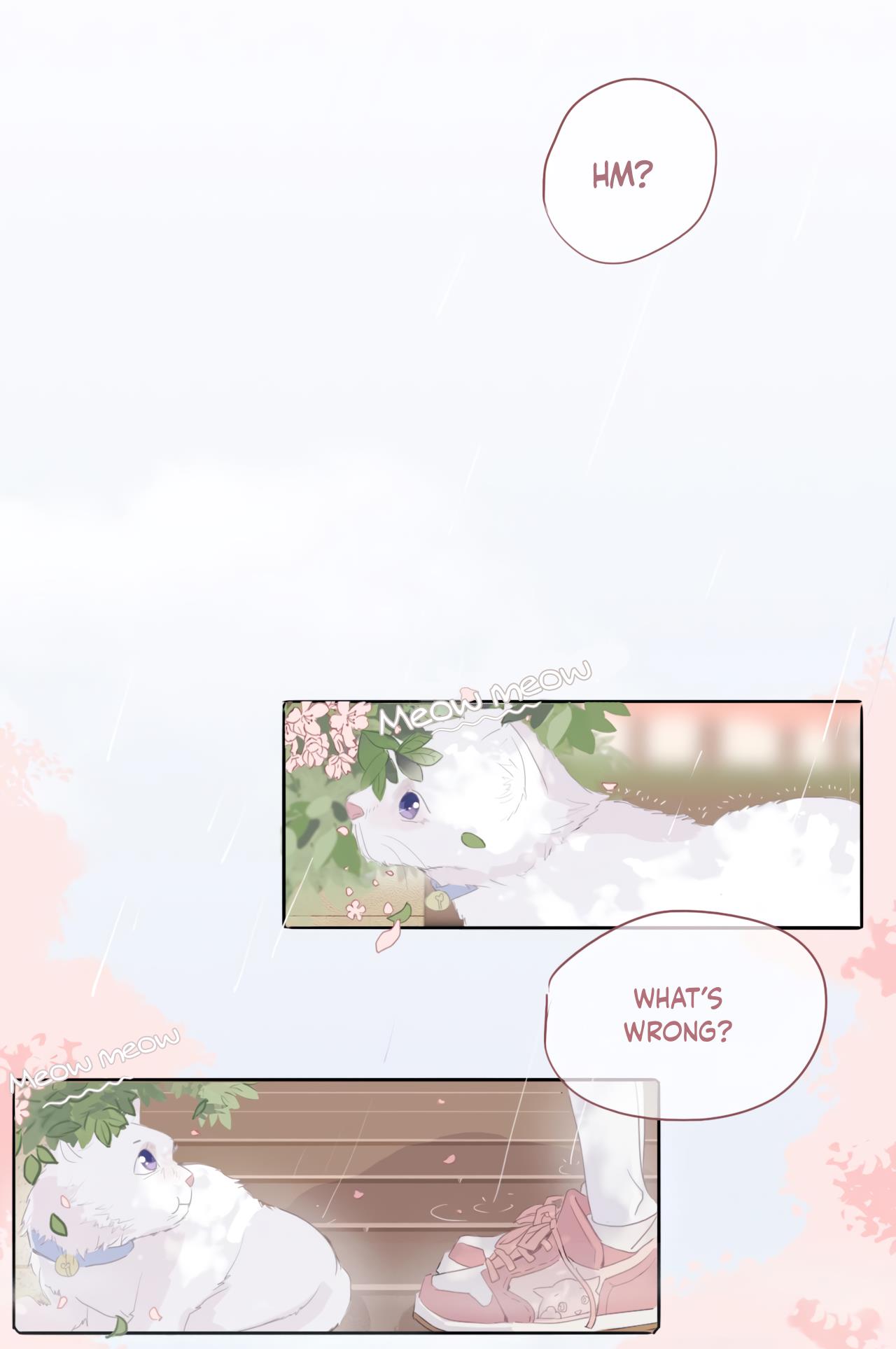 Notes On Cherry Blossoms Chapter 0: Trailer - Picture 3