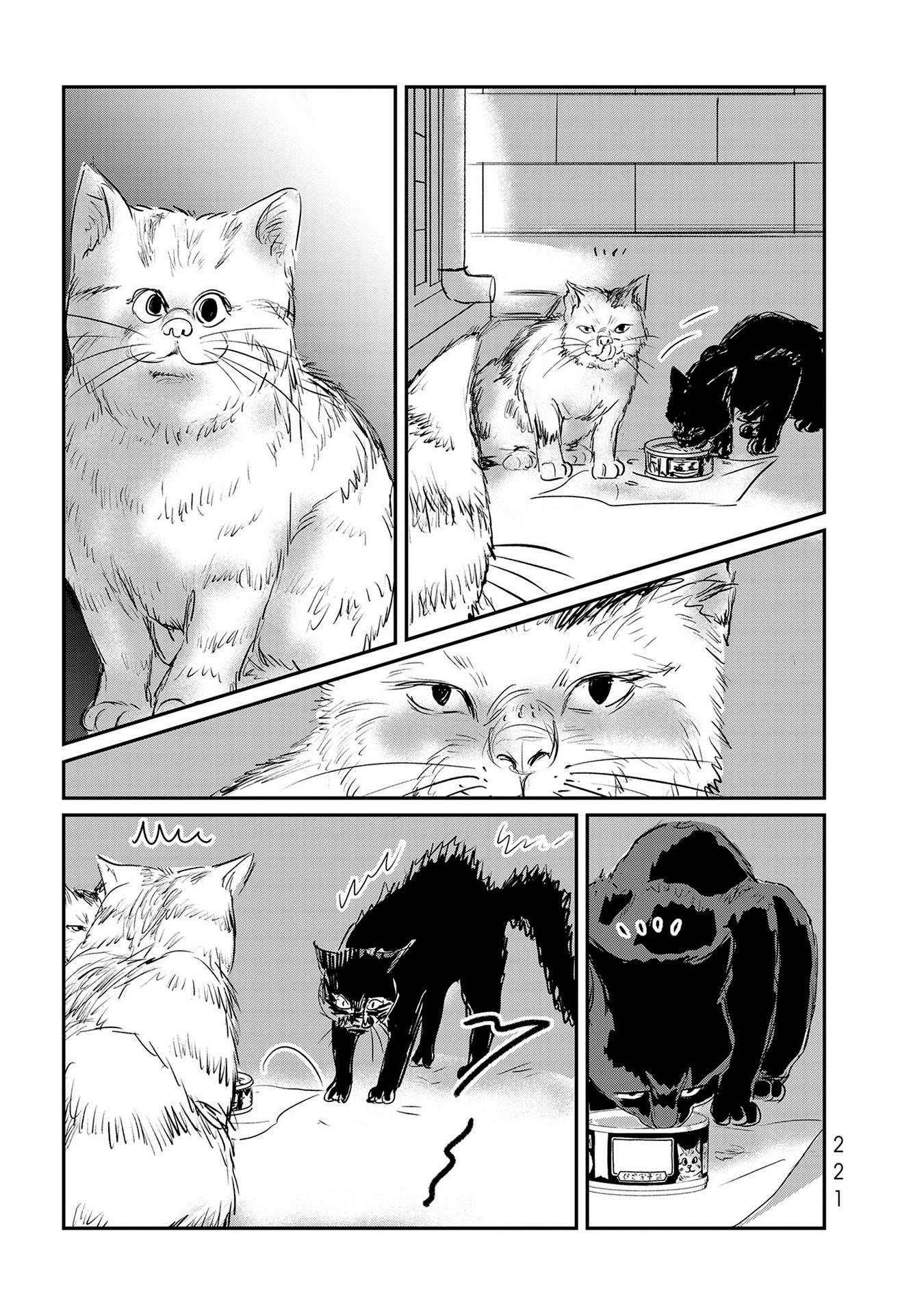 Fish Vol.4 Chapter 23.5: Extra Volume 4 - Picture 3