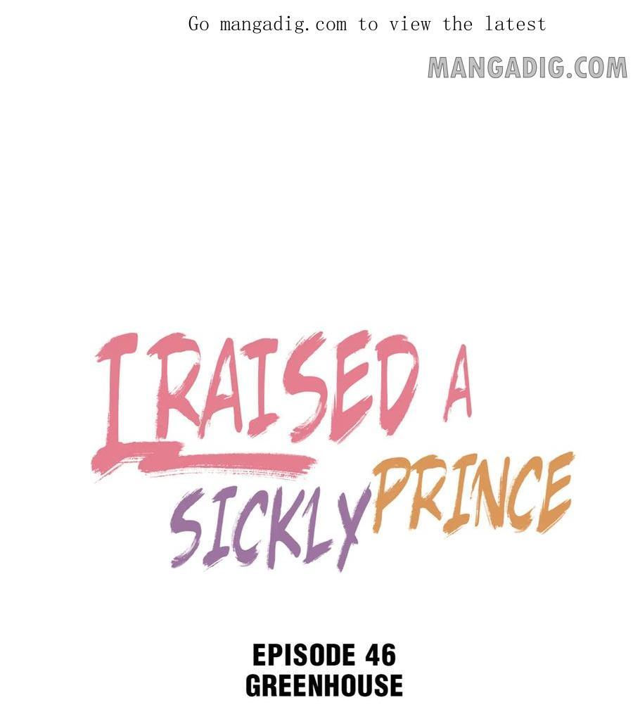 I Raised A Sick And Weak Prince Chapter 46 - Picture 2