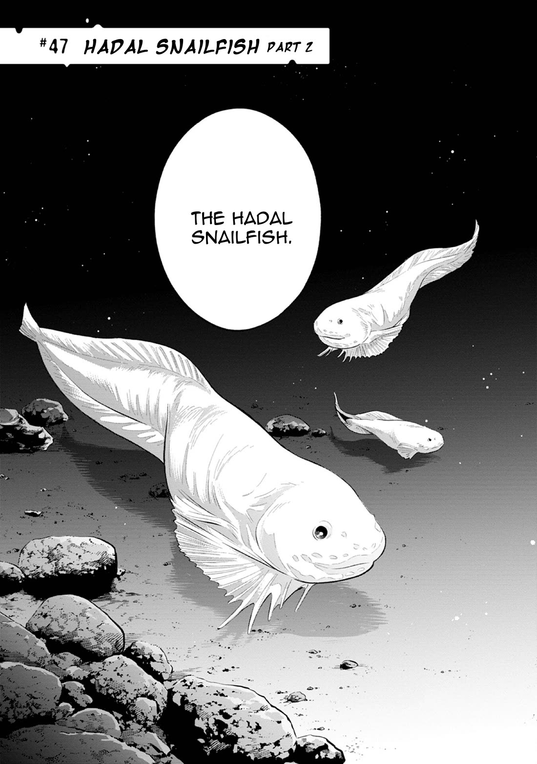 Deep Sea Aquarium Magmell Chapter 47: Hadal Snailfish, Part 2 - Picture 3