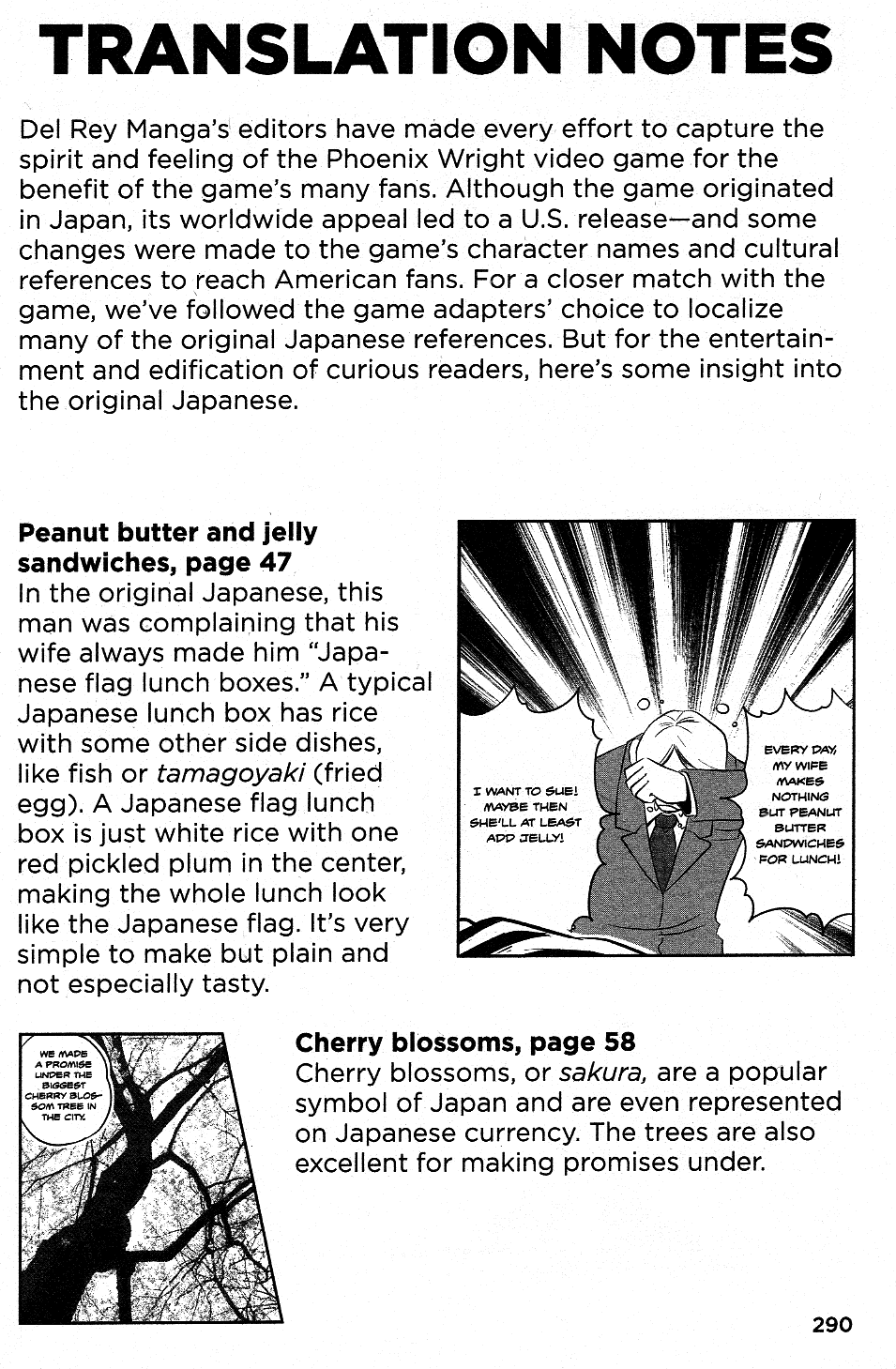 Phoenix Wright: Ace Attorney - Official Casebook Vol.1 Chapter 20.7: Translation Notes - Picture 1
