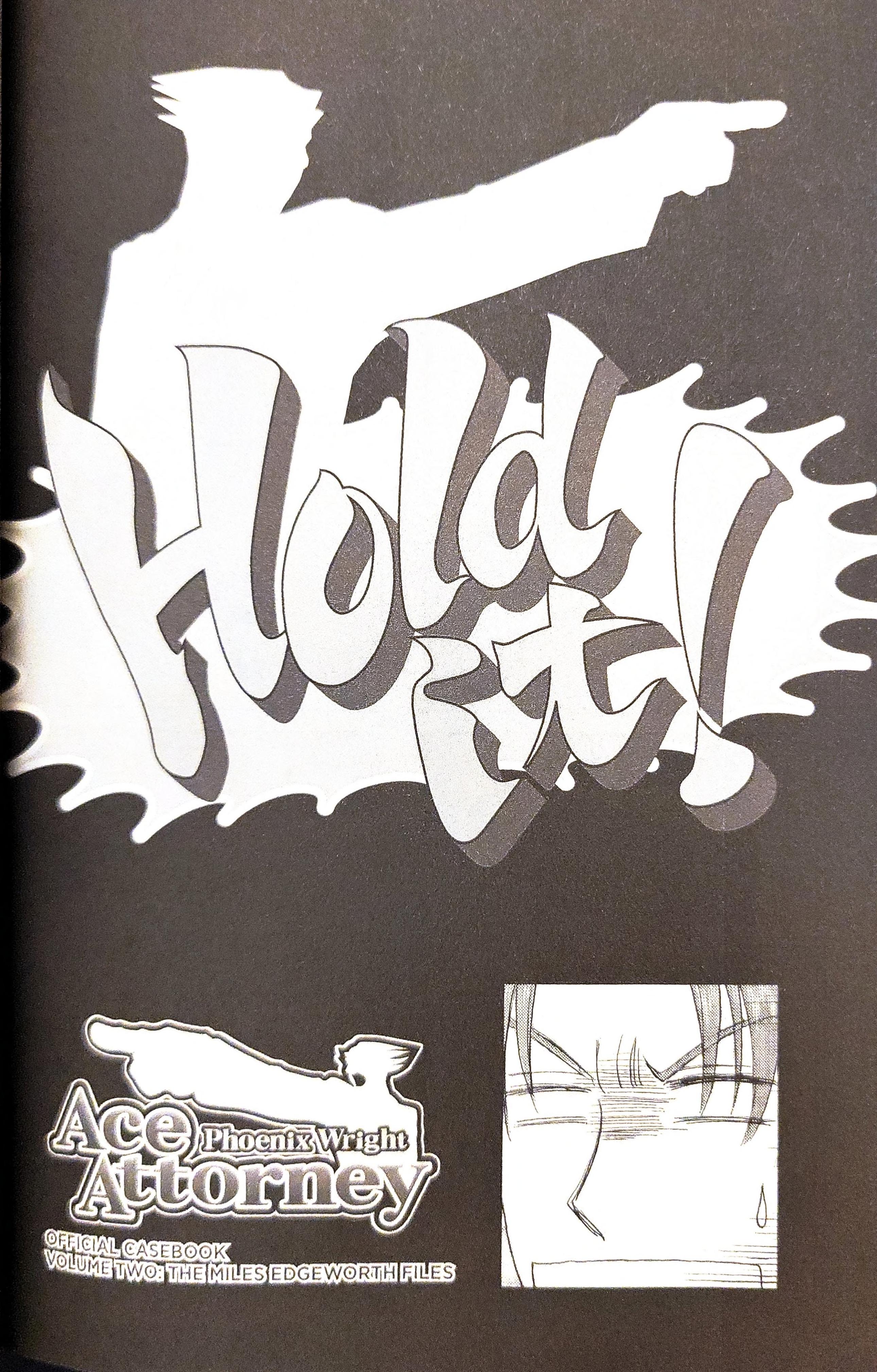 Phoenix Wright: Ace Attorney - Official Casebook Vol.2 Chapter 36 - Picture 2