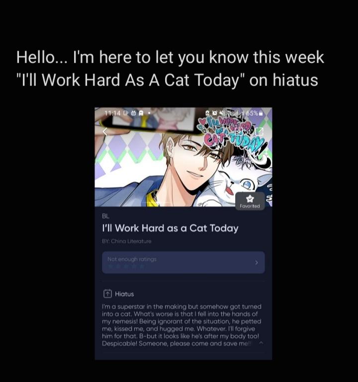 I Have To Work Hard As A Cat Today Hitaus. 1 - Picture 2